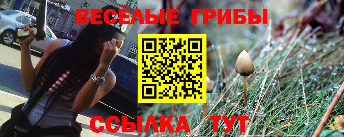 Майский  Галлюциногенные грибы Magic Shrooms  Вход с VPN 