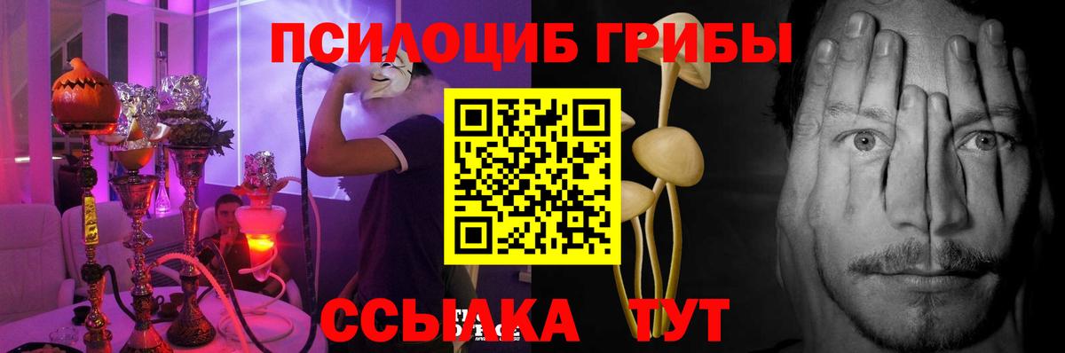Псилоцибиновые грибы мицелий Майский